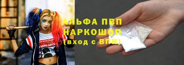 дмт Пересвет