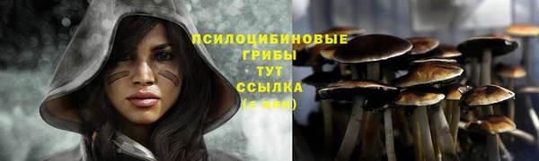 дмт Пересвет